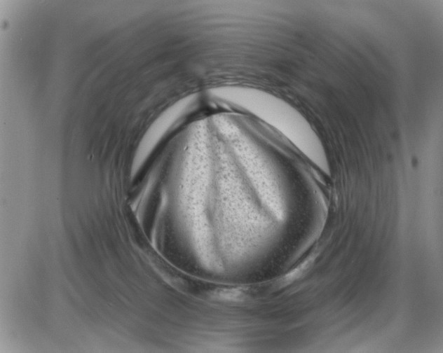 X0000085290086200703231844