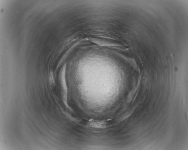 X0000085290089200703231844
