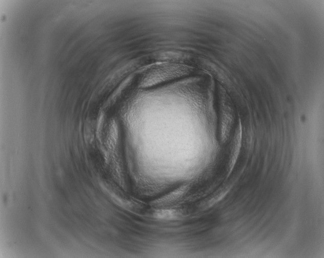 X0000085290091200703231844