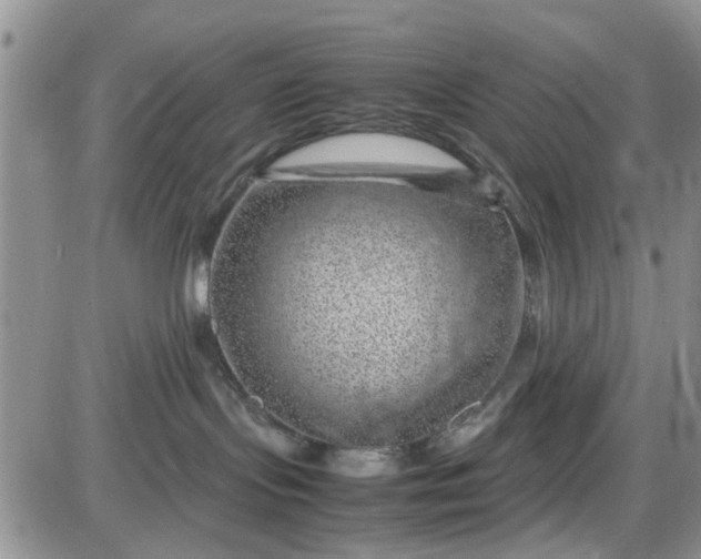 X0000085290095200703231844