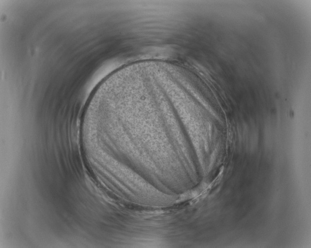 X0000085290100200703231843