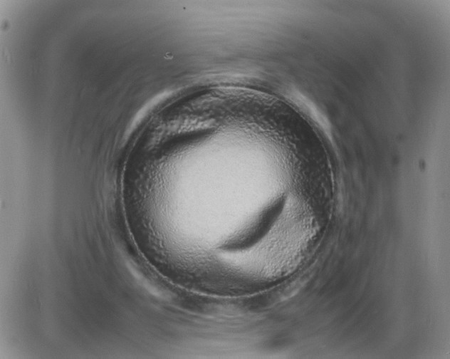X0000085290107200703231843