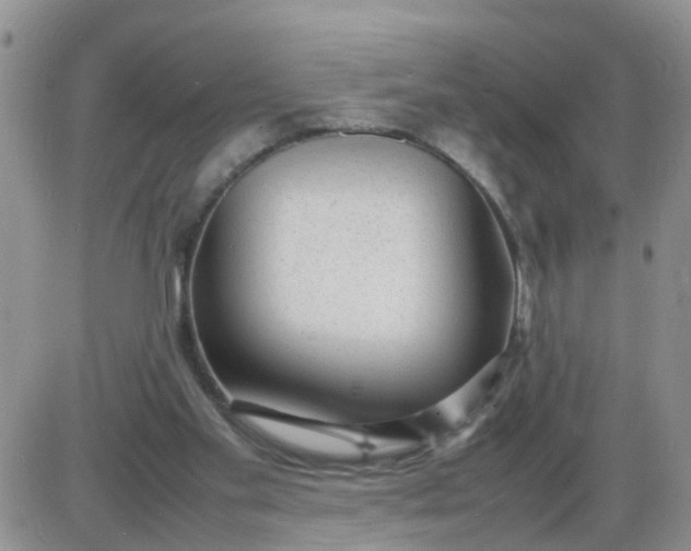 X0000085290109200703231843