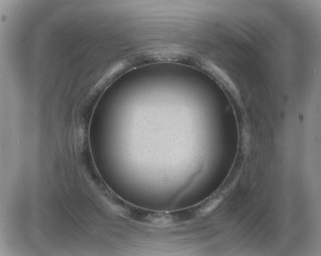 X0000085290113200703231843