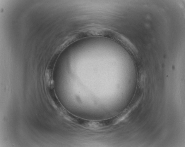 X0000085290121200703231843