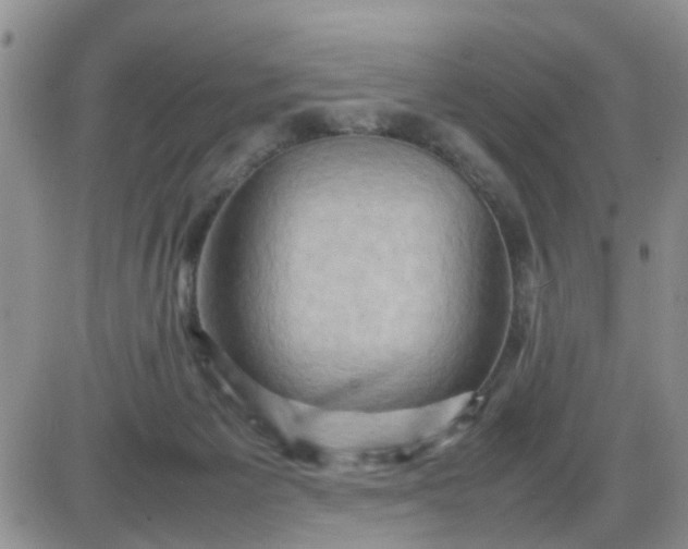 X0000085290125200703231842