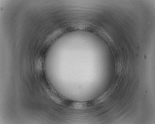 X0000085290126200703231842