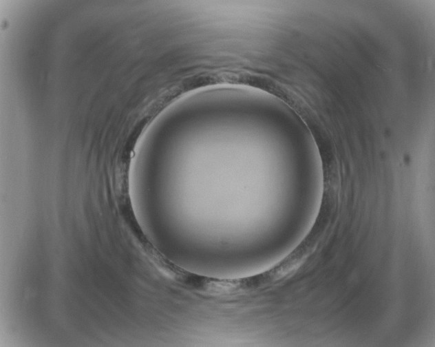 X0000085290139200703231842