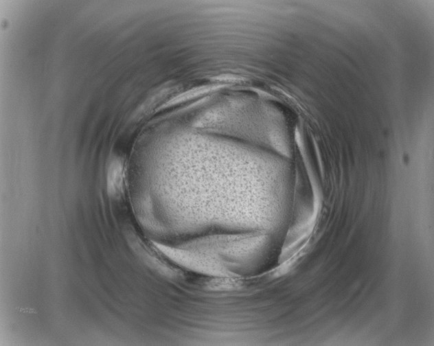 X0000085290142200703231842