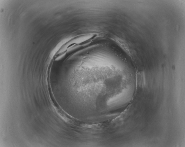 X0000085290147200703231841
