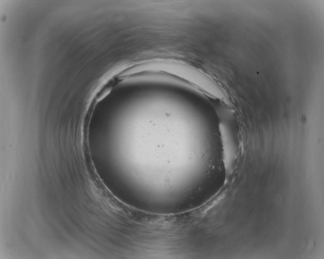 X0000085290148200703231841