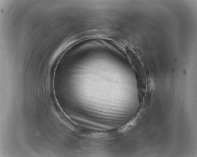 X0000085290150200703231841