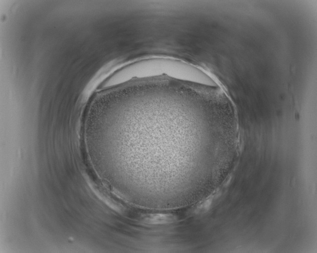 X0000085290151200703231841