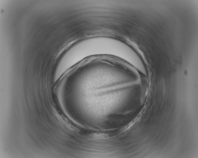 X0000085290154200703231841