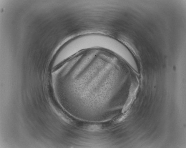 X0000085290156200703231842