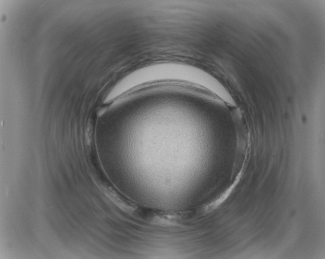 X0000085290174200703231842