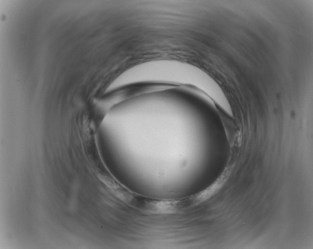 X0000085290184200703231842
