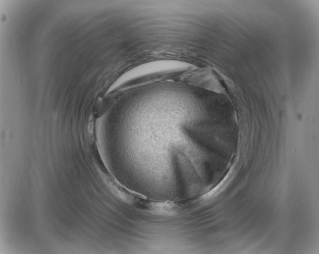 X0000085290192200703231842