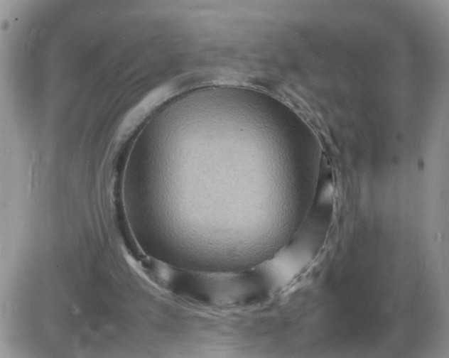 X0000085290197200703231841