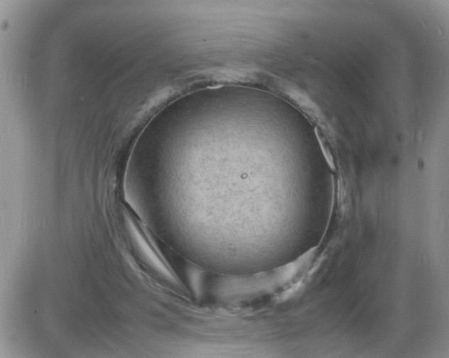 X0000085290201200703231841