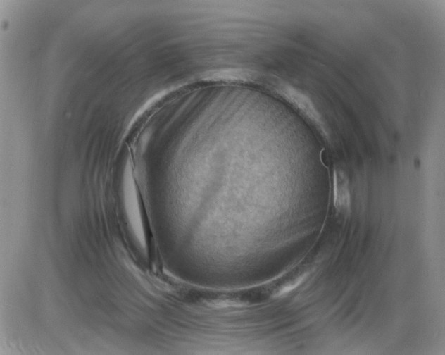 X0000085290204200703231841