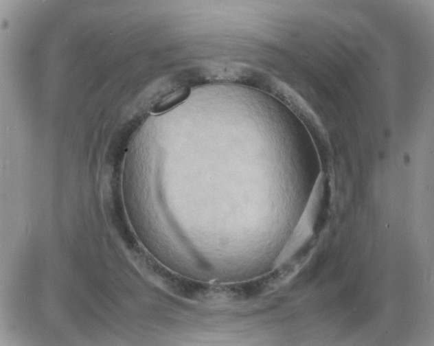 X0000085290209200703231841