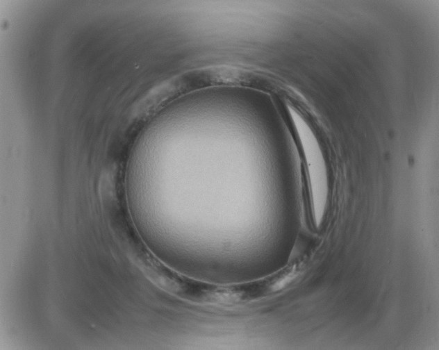 X0000085290217200703231841