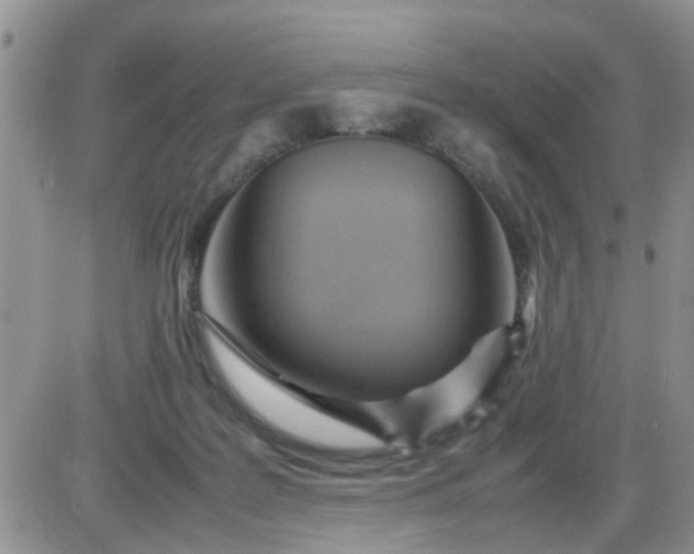 X0000085290219200703231841