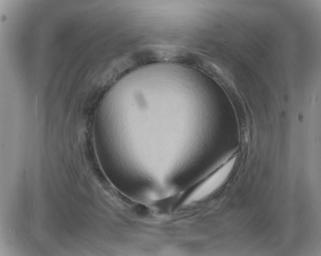 X0000085290221200703231841