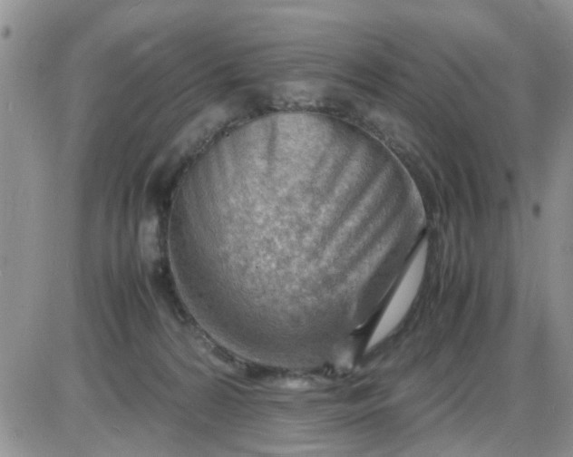 X0000085290224200703231841