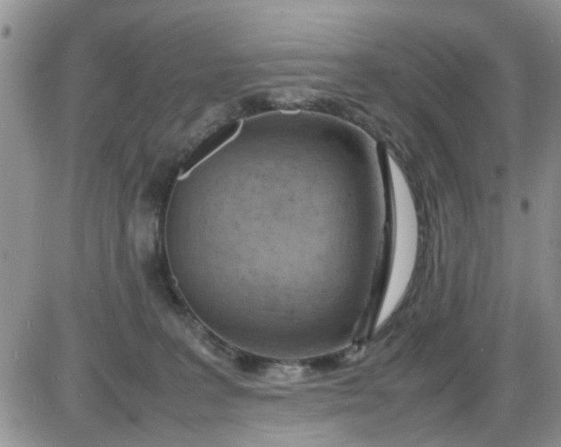 X0000085290227200703231841
