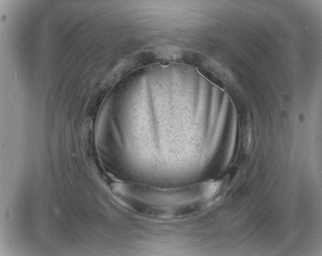 X0000085290229200703231841
