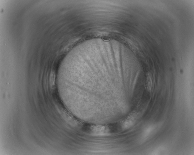 X0000085290230200703231841