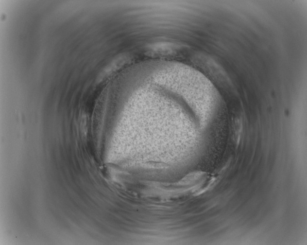 X0000085290232200703231841