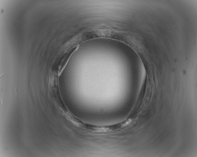 X0000085290233200703231841
