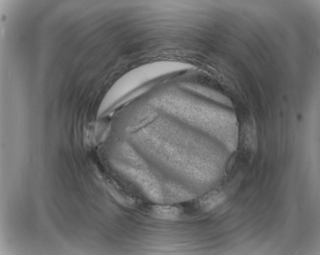 X0000085290234200703231841