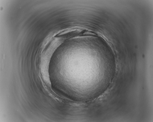 X0000085290241200703231840