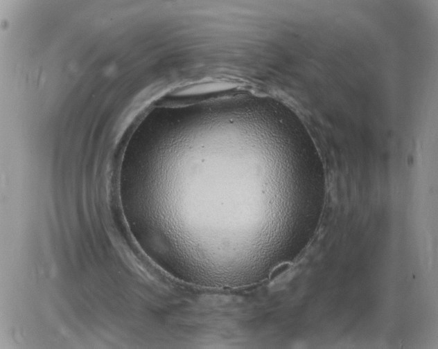 X0000085290242200703231840