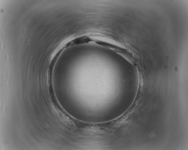 X0000085290244200703231840