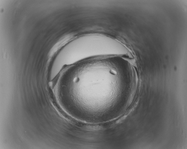 X0000085290245200703231840