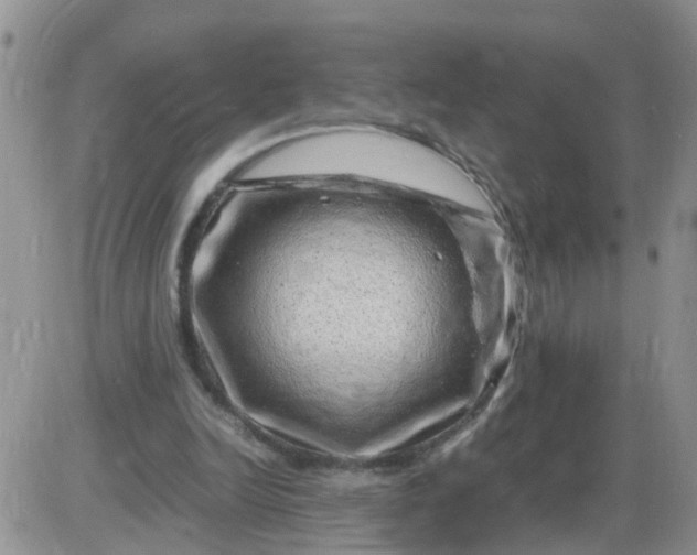 X0000085290246200703231840