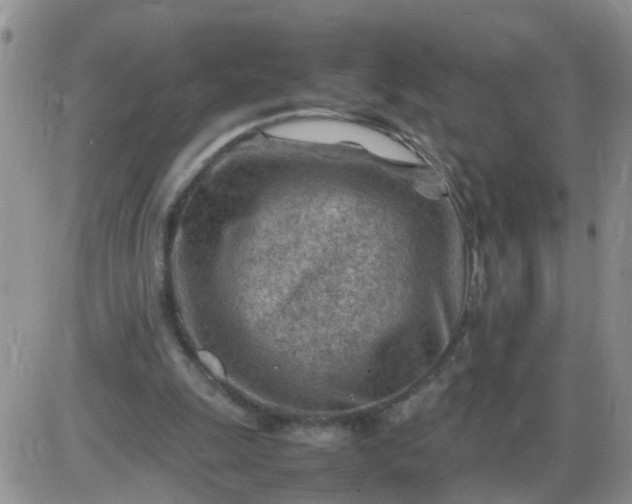 X0000085290247200703231840
