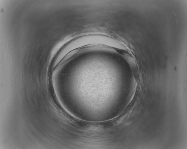 X0000085290248200703231840