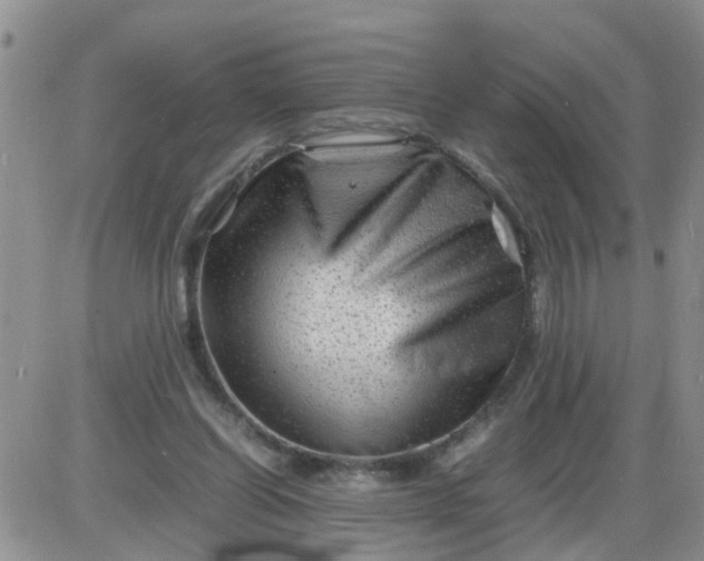 X0000085290254200703231840