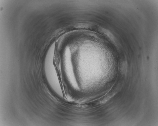 X0000085290261200703231840