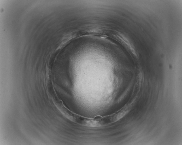 X0000085290265200703231840