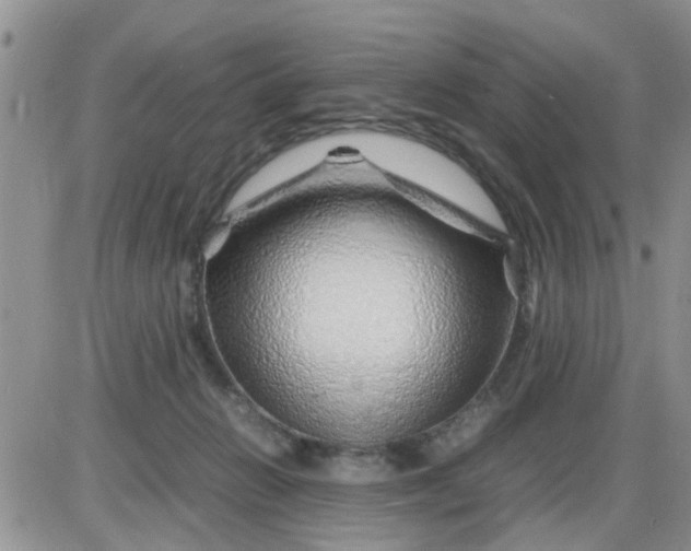 X0000085290270200703231840