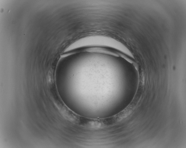X0000085290272200703231840