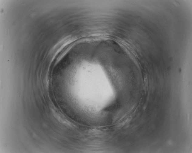 X0000085290290200703231840