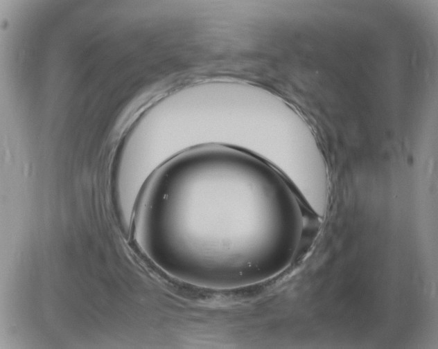 X0000085290293200703231840